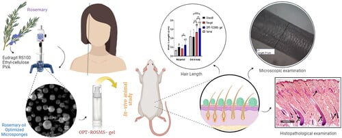 Thí nghiệm trên chuột năm 2023 cho thấy Rosemary giúp tóc mọc nhanh hơn đến 65% so với minoxidil. 