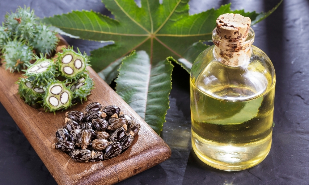 BẠN CÓ BIẾT: CHỈ CẦN PHA THÊM CHÚT CASTOR OIL SẼ TĂNG ĐÁNG KỂ HIỆU QUẢ CỦA DẦU DƯỠNG DA, TÓC? 1 BẠN CÓ BIẾT: CHỈ CẦN PHA THÊM CHÚT CASTOR OIL SẼ TĂNG ĐÁNG KỂ HIỆU QUẢ CỦA DẦU DƯỠNG DA, TÓC?
